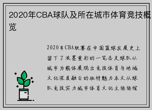 2020年CBA球队及所在城市体育竞技概览